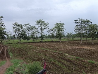 Commercial Land 6 Acre For Resale in Dhamtari Road Raipur  7255294