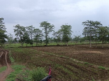 Commercial Land 6 Acre For Resale in Dhamtari Road Raipur  7255294