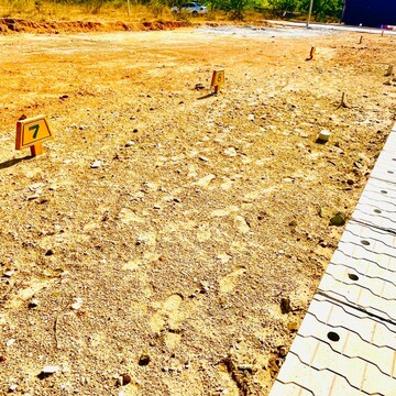  Plot For Sale in Palakhedi