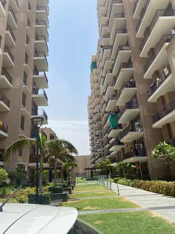 3 BHK Apartment For Resale in Signature The Serenas Sohna Sector 36 Gurgaon  7255592