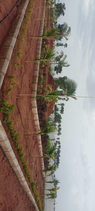  Plot – Garden View at Sri Bhumi Eeshaanya, Kankipadu - for Sale