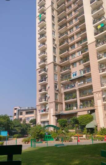 3 BHK Apartment For Rent in DLF Regency Park II Sector 27 Gurgaon  7256061