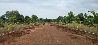 Plot For Resale in Av Appa Rao Road Rajahmundry  7256220