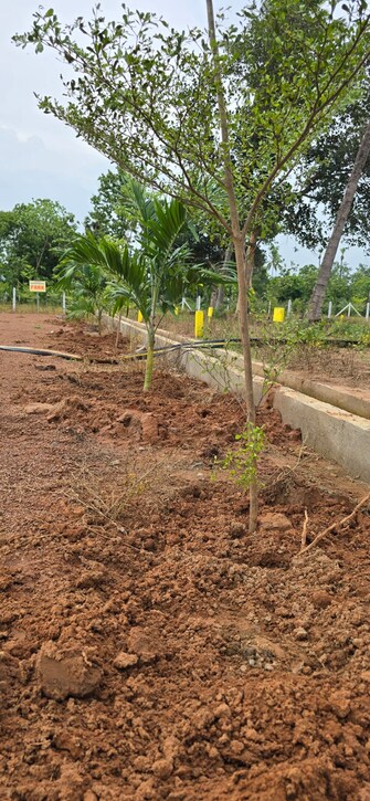 Plot For Resale in Av Appa Rao Road Rajahmundry  7256220