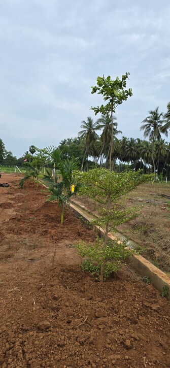 Plot For Resale in Av Appa Rao Road Rajahmundry  7256220