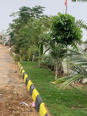  Plot – Garden View at Peeranchuruvu - for Sale