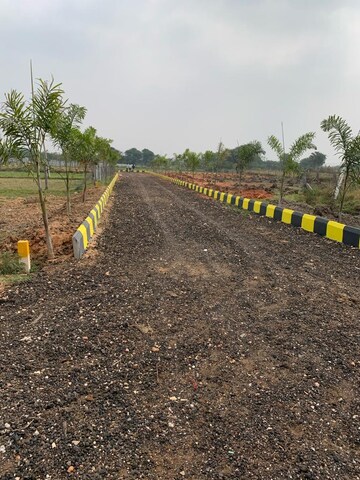 Plot Area in  Plot at Peeranchuruvu – for Sale