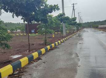 Plot For Resale in Budhera Hyderabad  7256356