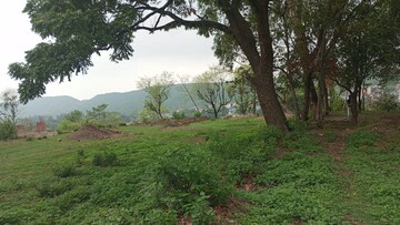 Plot – Garden View at Sahastradhara Road - for Sale