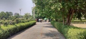  Plot – Garden View at Jewar - for Sale
