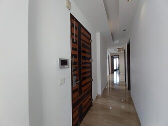 3 BHK Builder Floor For Resale in Greater Kailash ii Delhi  7256982