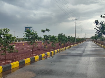 Plot For Resale in Budhera Hyderabad  7257050