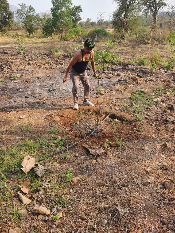 undefined, mahalaxmi-nagar-nere  2500 Sq.Ft. Plot In Nere Navi Mumbai 7257230