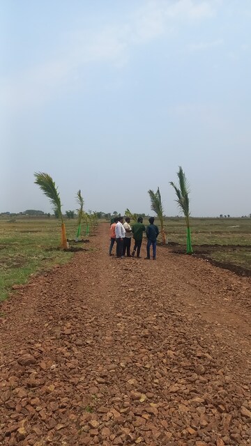 Plot Area in  Plot at Narayankhed – for Sale