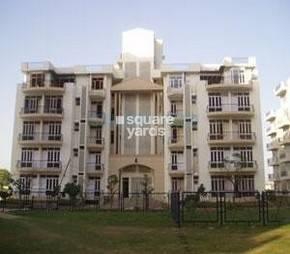 3.5 BHK Apartment For Rent in Ardee City The Residency Sector 52 Gurgaon  7257867