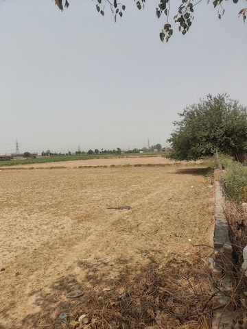 Commercial Industrial Plot 500 Sq.Yd. For Resale in Industrial Area Mohali  7258215