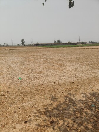 Commercial Industrial Plot 500 Sq.Yd. For Resale in Industrial Area Mohali  7258215