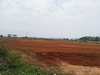 Commercial Land 11 Acre For Resale in Warangal Highway Hyderabad  7258325