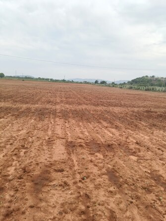 Commercial Land 11 Acre For Resale in Warangal Highway Hyderabad  7258325