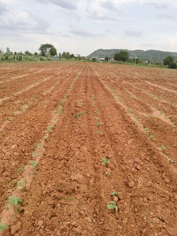 Plot Area in  Land at Warangal Highway – for Sale