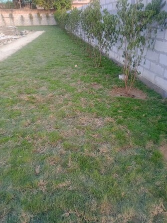 Plot For Resale in Crossing Infra Dundahera Ghaziabad  7258480