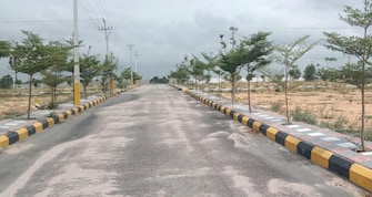 Plot For Resale in Chukkapur Hyderabad  7258623