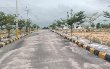 Plot For Sale in Chukkapur
