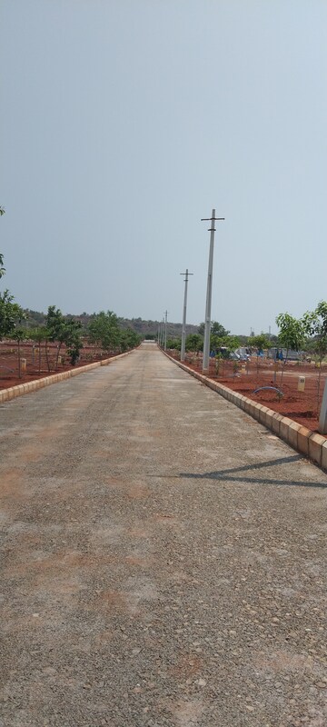 Plot Area in  Plot at Budhera – for Sale