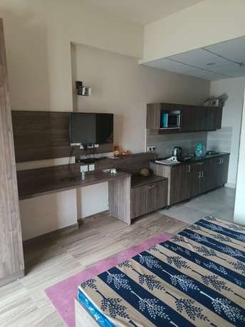 1 BHK Apartment For Rent in Paramount Golfforeste Gn Sector Zeta I Greater Noida  7259007