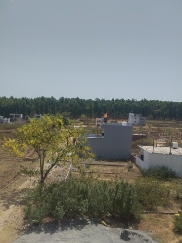 Plot Area in  Plot at Raipur – for Sale