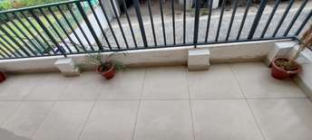 3 BHK Builder Floor For Resale in High Ground Zirakpur  7259908