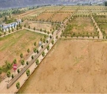 Plot For Resale in Spiti Palm Estate Farukh Nagar Sector 3 Gurgaon  7260164