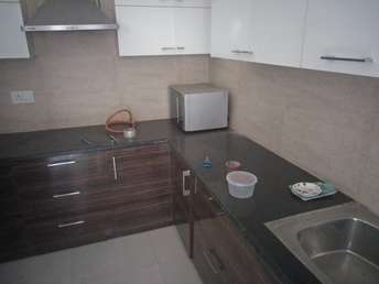 1 BHK Apartment For Rent in Alliance The Eminence Singhpura Zirakpur  7260369