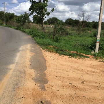 Plot Area in  Plot at Bidadi – for Sale