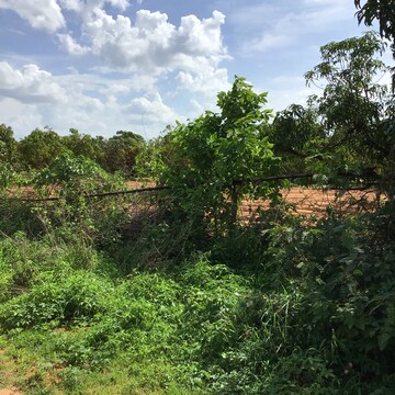  Plot – Garden View at Bidadi - for Sale