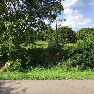  Plot For Sale in Bidadi
