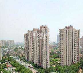2 BHK Apartment For Rent in Eros Wembley Premium Tower Sector 49 Gurgaon  7260559