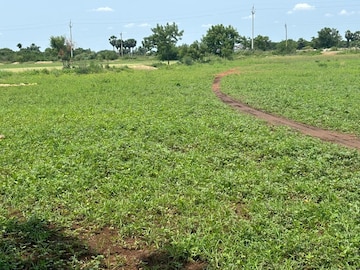 Plot Area in  Plot at Mangalagiri – for Sale