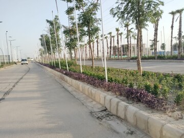  Plot For Sale in Sector 36