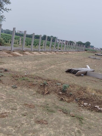  Plot For Sale in Dhanauli