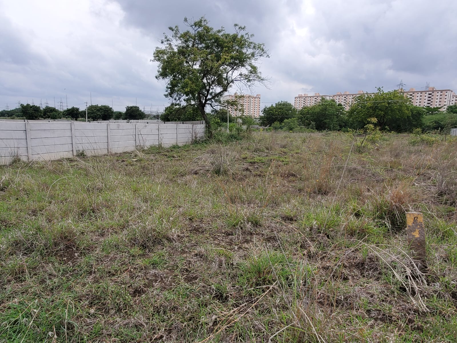 Plot For Resale in Shankarpalli Hyderabad  7262111