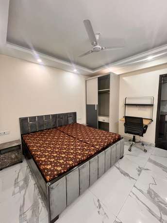 2 BHK Builder Floor For Rent in DLF The Belvedere Park Sector 24 Gurgaon  7262141