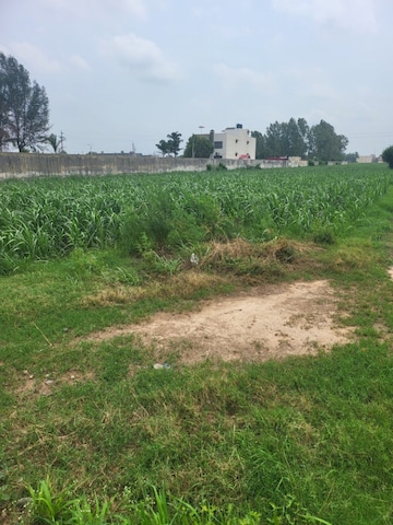 Commercial Land 113232 Sq.Ft. For Resale in Kharar Mohali Road Kharar  7262168