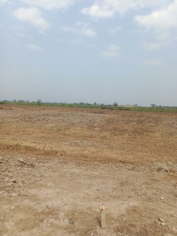 Plot Area in  Plot at Tappal – for Sale