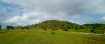  Plot For Sale in Adajan