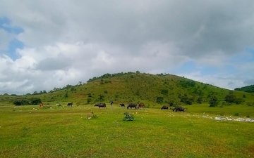 Plot For Sale in Adajan