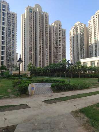 3 BHK Apartment For Rent in ATS Dolce Gn Sector Zeta I Greater Noida  7259366