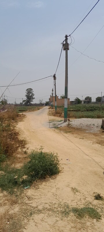 Plot Area in  Plot at Chithara – for Sale