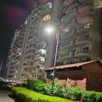 3 BHK Apartment For Rent in Ansal Royal Heritage Mujeri Faridabad  7264130