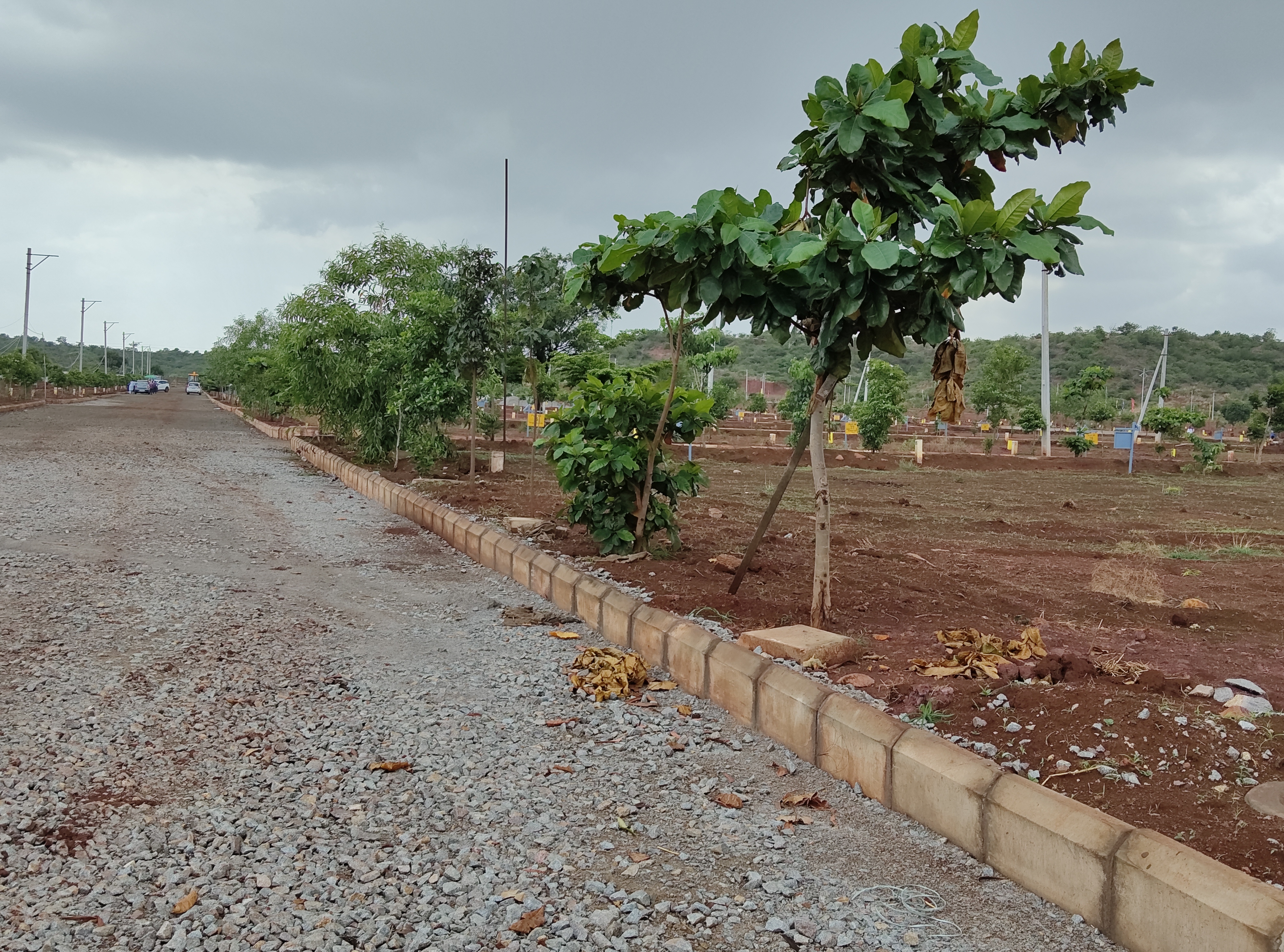 Plot For Resale in Budhera Hyderabad  7264728